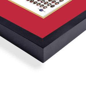 Frame For 11x14 Composite with a RED Mat & Gold Liner